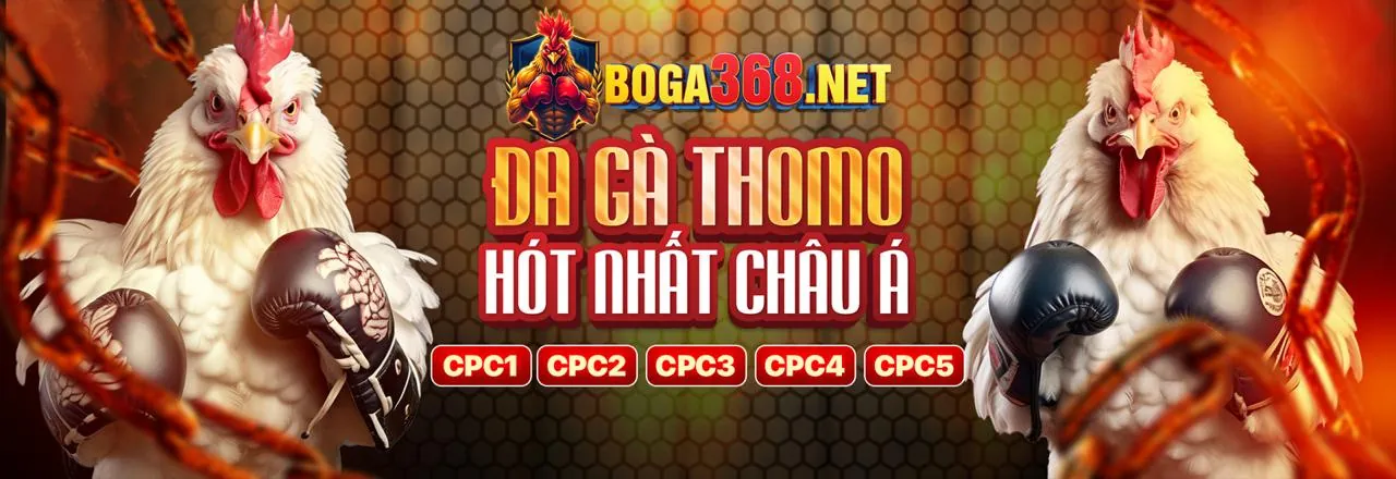 Đá gà trực tuyến kịch tính tại 8kbrt nhà cái