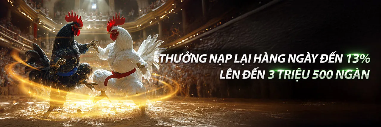 Đá Gà Trực Tuyến 8kbrt Nhà Cái 2026